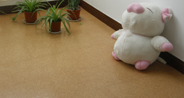 軟木地板的優(yōu)勢(shì)是什么，中林帶你了解一下！